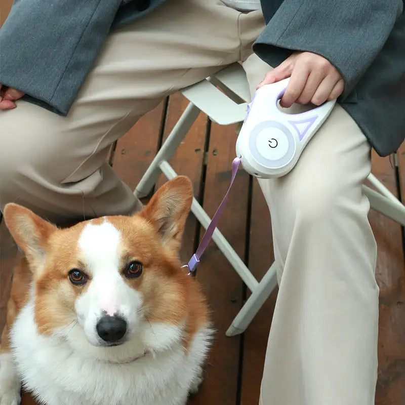 Led Lights Dog Retractable Leash