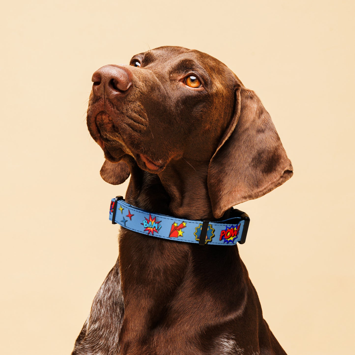 Super Doodle Pet collar